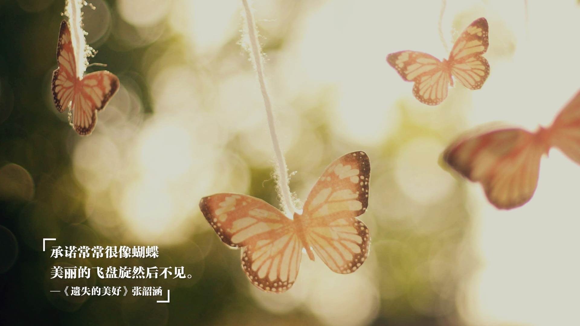 _湖人队强势反弹,迎来辉煌战绩_,湖人队rice