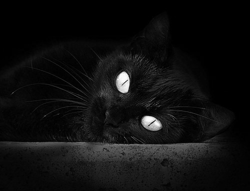 华体会hthapp注册-“球迷盛宴：中超主场观众席严阵以待”，中超现场观众人数统计