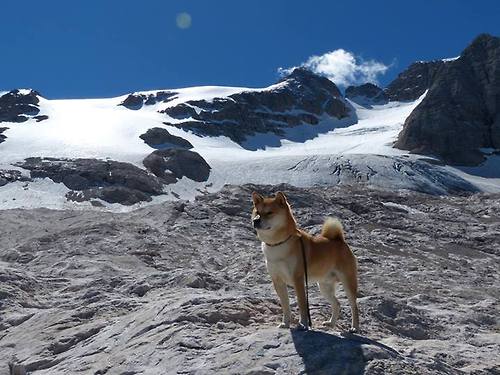 华体会hthapp登入-《劲舞团》全国联赛与《节奏大师》线上赛的音乐游戏电竞化，day by day劲舞团