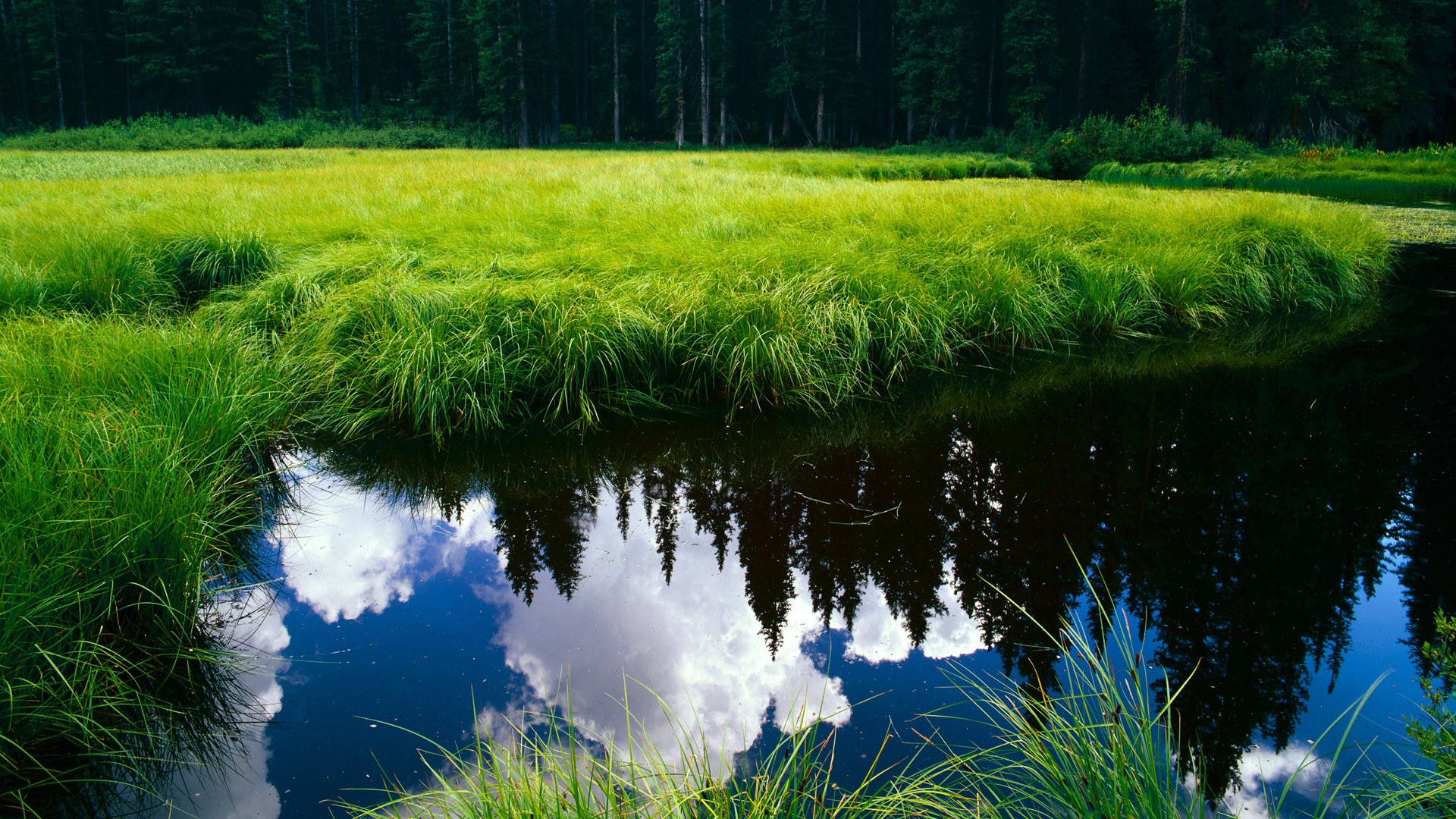 华体会登陆-太阳在客场最后一秒投中绝杀三分，布克成为全场焦点！，太阳队布克单场最高分