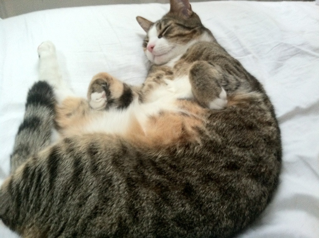 期待下一场!双方都表示希望再战,争夺更高荣誉!,期待下一站是什么意思