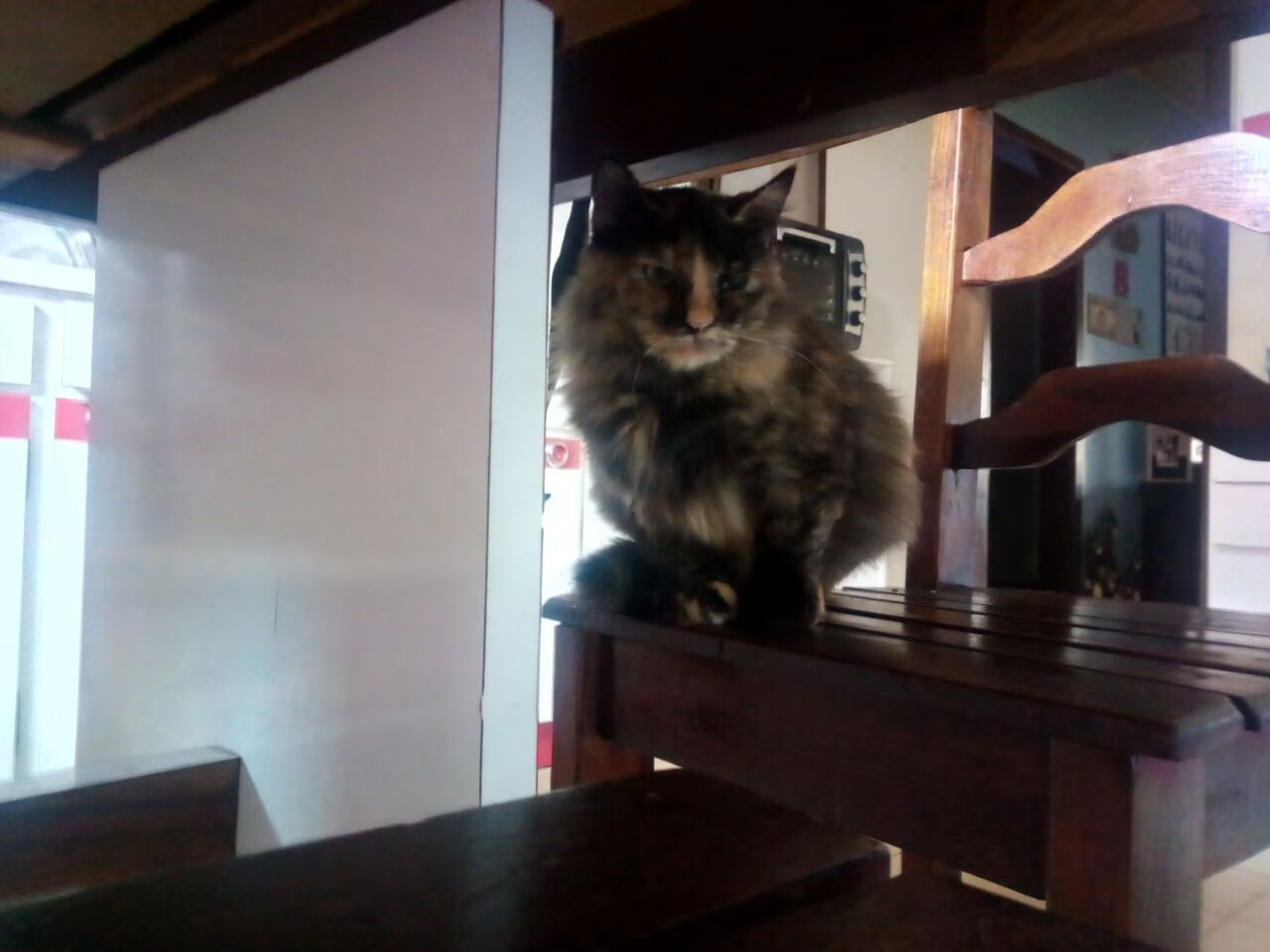 华体会登录最新地址-科比：战斗到最后一秒的“铁血”精神永不褪色！，科比最后一战的巧合