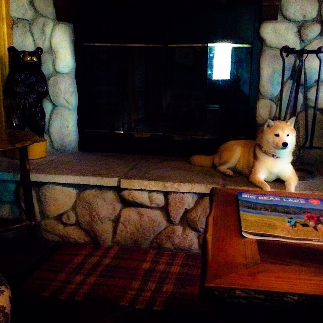 华体会hthhth app-足球主题公园落户重庆打造球迷新地标，重庆足球体育场