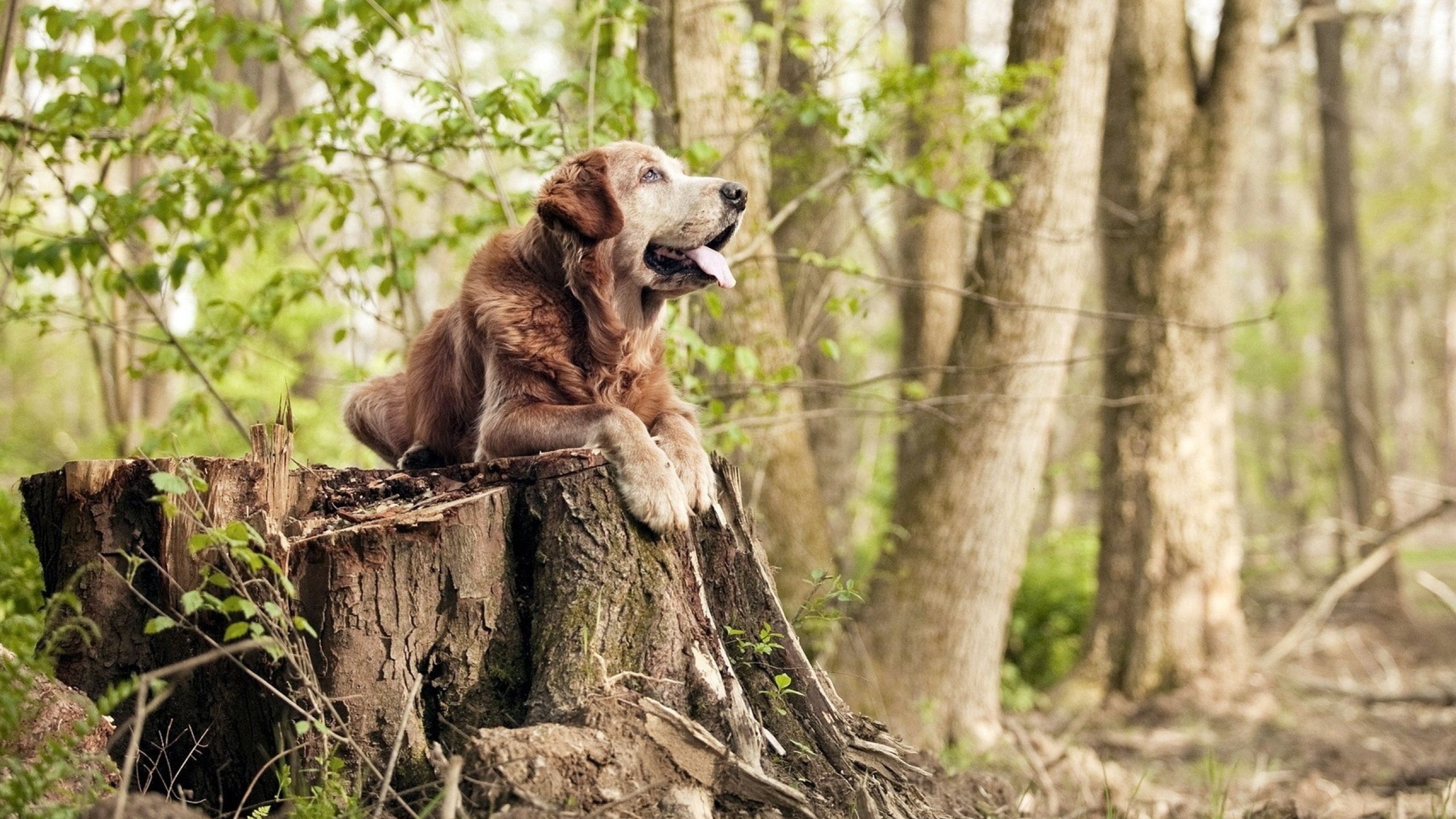 中超俱乐部加大青训投入,未来新星涌现,中超青训好的俱乐部