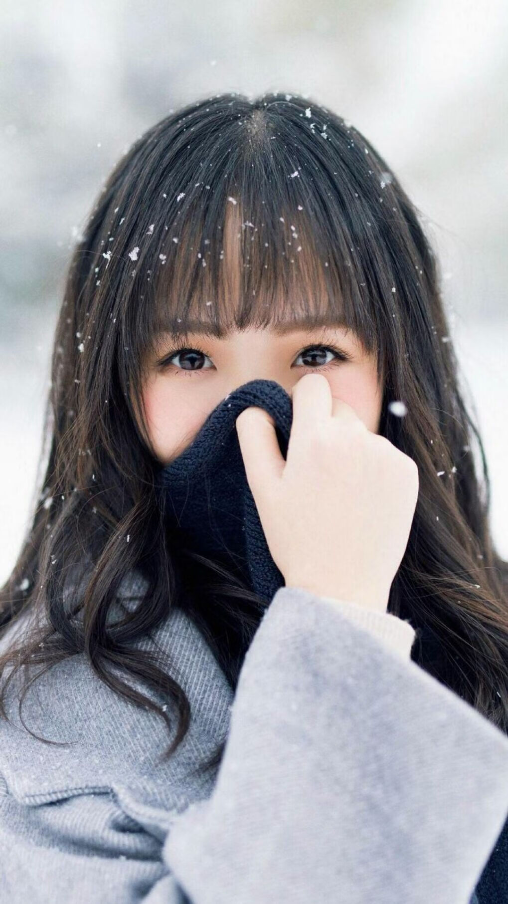 奇才全华班策略成球队竞争优势,全华班球队会师决赛