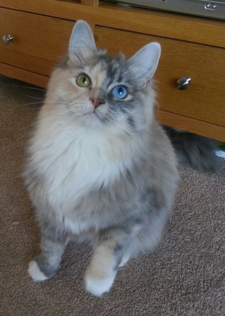 华体会hth网站-摩洛哥队主帅强调保持比赛节奏，摩洛哥队主教练