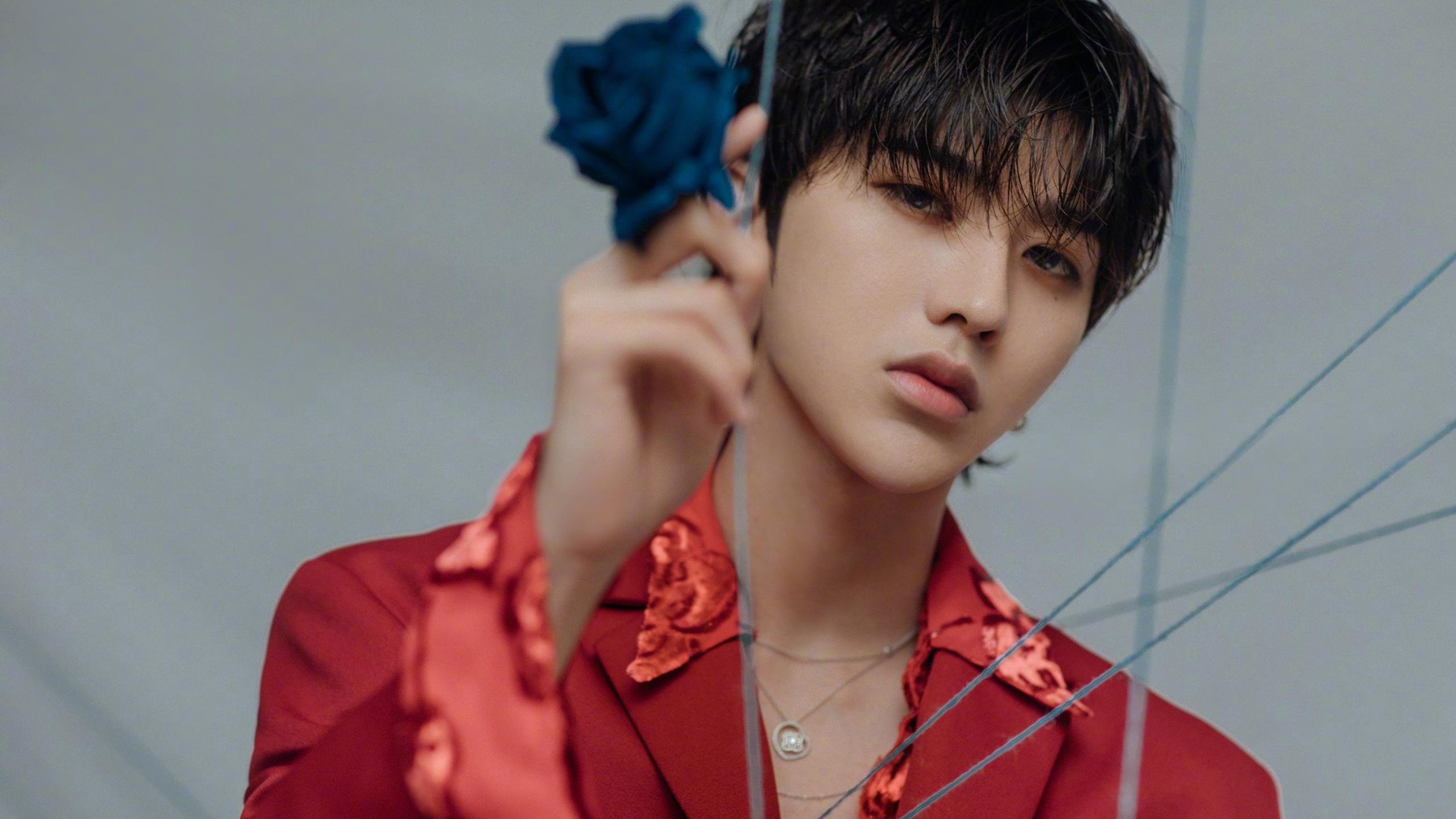 曼城与布莱顿进行决战,胜负悬念,曼城和布莱顿比分预测