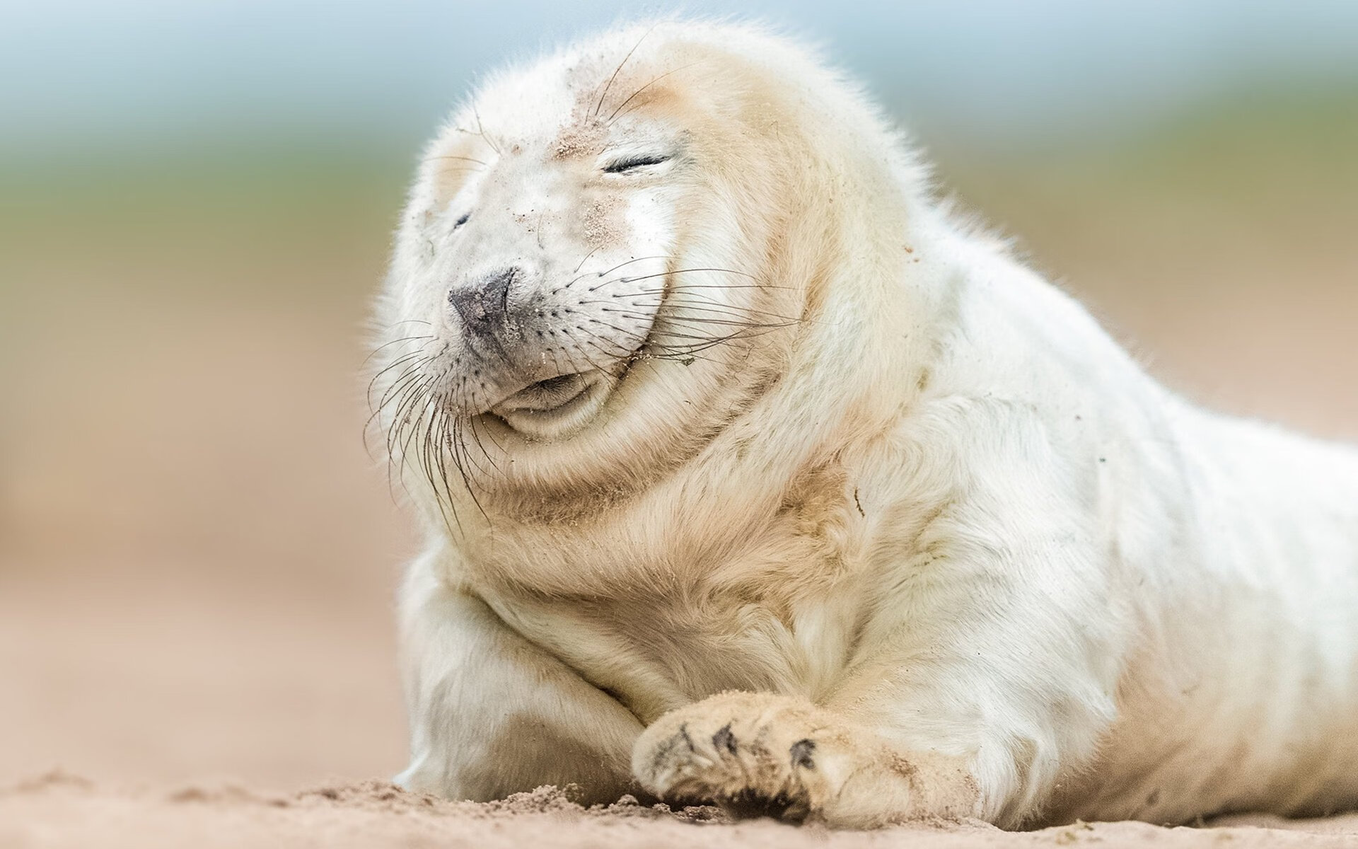 职业篮球俱乐部财务风险管理,篮球俱乐部企业组织结构图