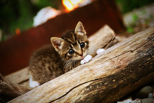 华体会hthapp下载-迎头赶上：骑士与尼克斯的对决或将有意外之喜，骑士vs尼克斯逆转