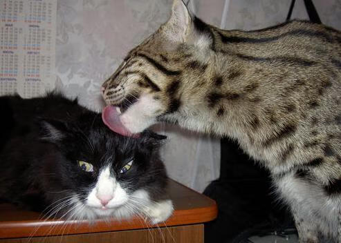 华体会hth官方网站登录-韩国电视剧热播引国际粉丝追捧，韩国电视剧热榜