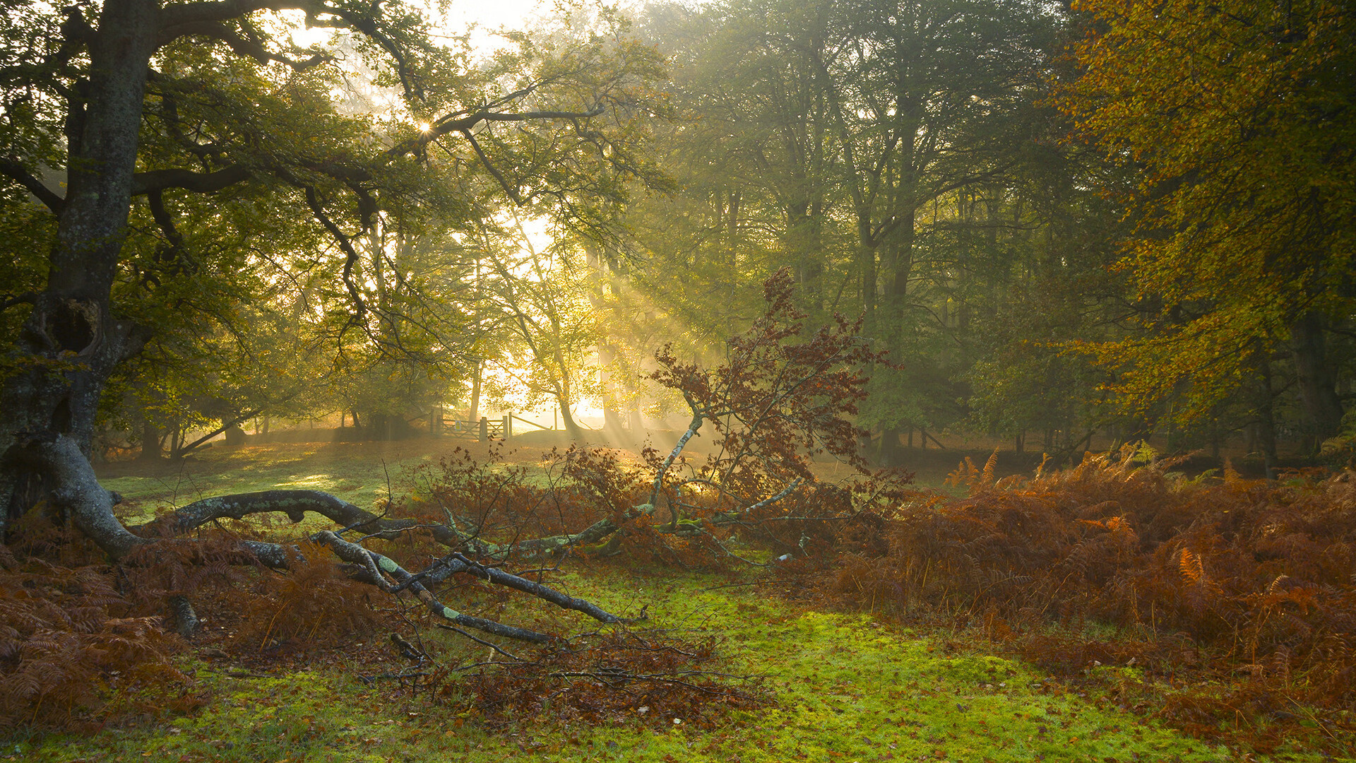 华体会官方网站-中学篮球课程加入技战术基础模块推动教学内容标准化，初中篮球教学中基础技术有哪些