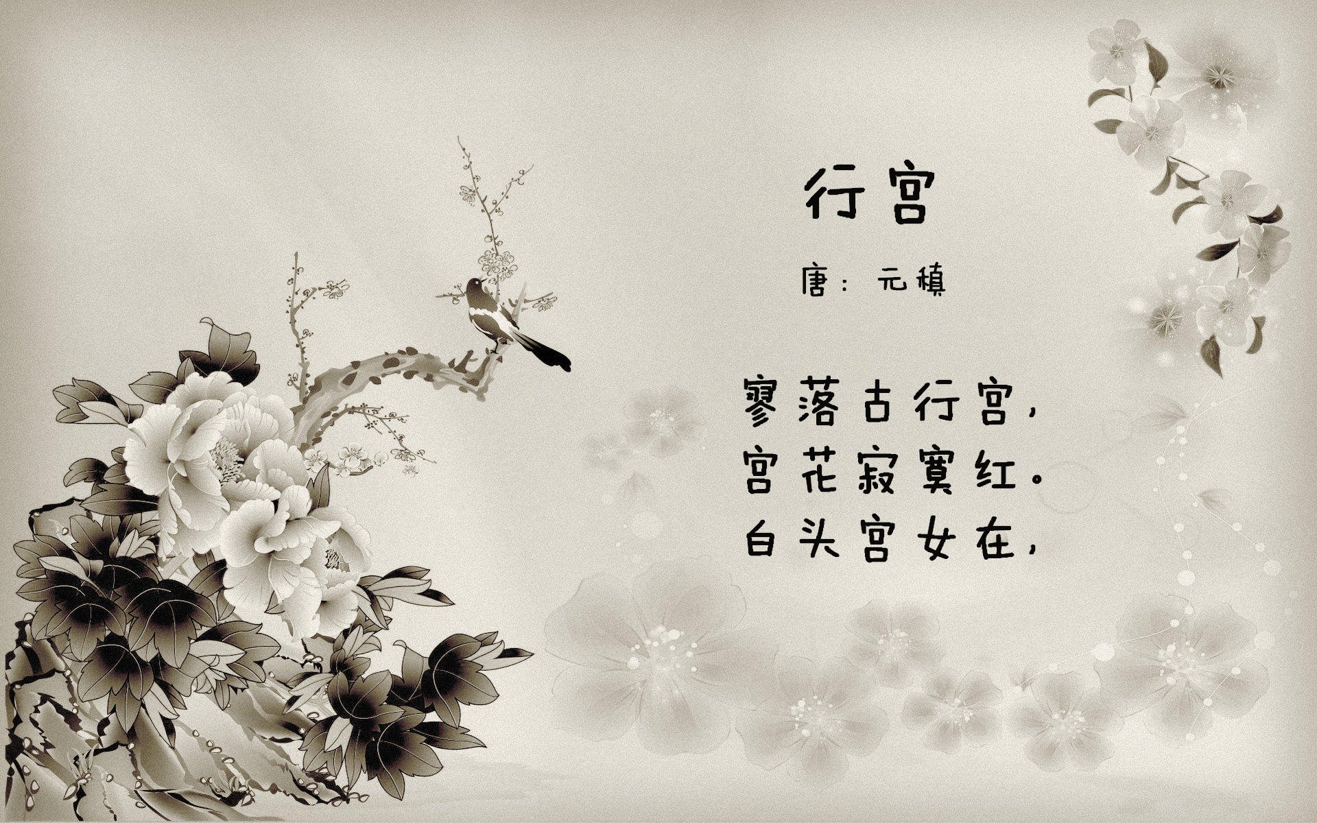 华体会官方网站首页-体育赛事志愿者招募启动，体育比赛志愿者招募