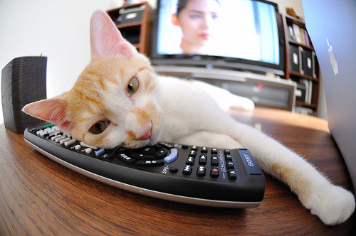 格鲁吉亚女篮在欧洲锦标赛中表现亮眼,迈向世界舞台,格鲁吉亚女子联赛