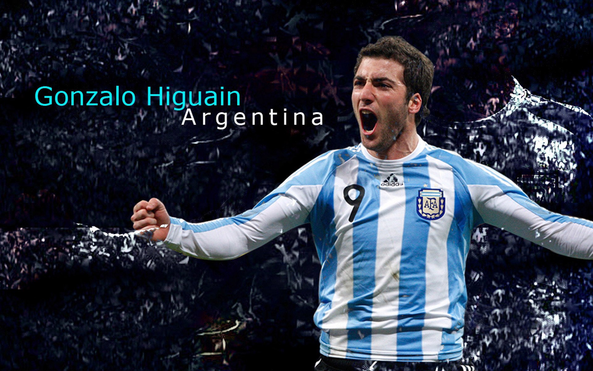 WRC精彩转播：直播背后的故事，wrc直播在哪里看